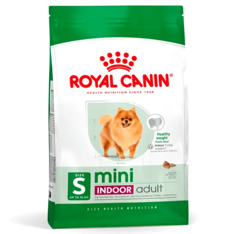 Slide Image Thumbnail