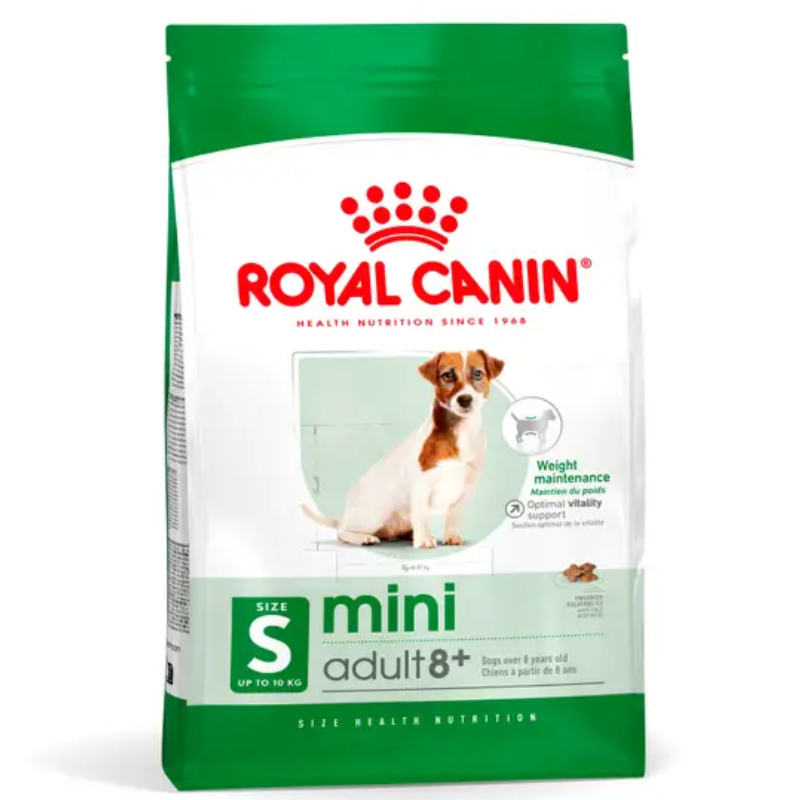 Slide Image Thumbnail