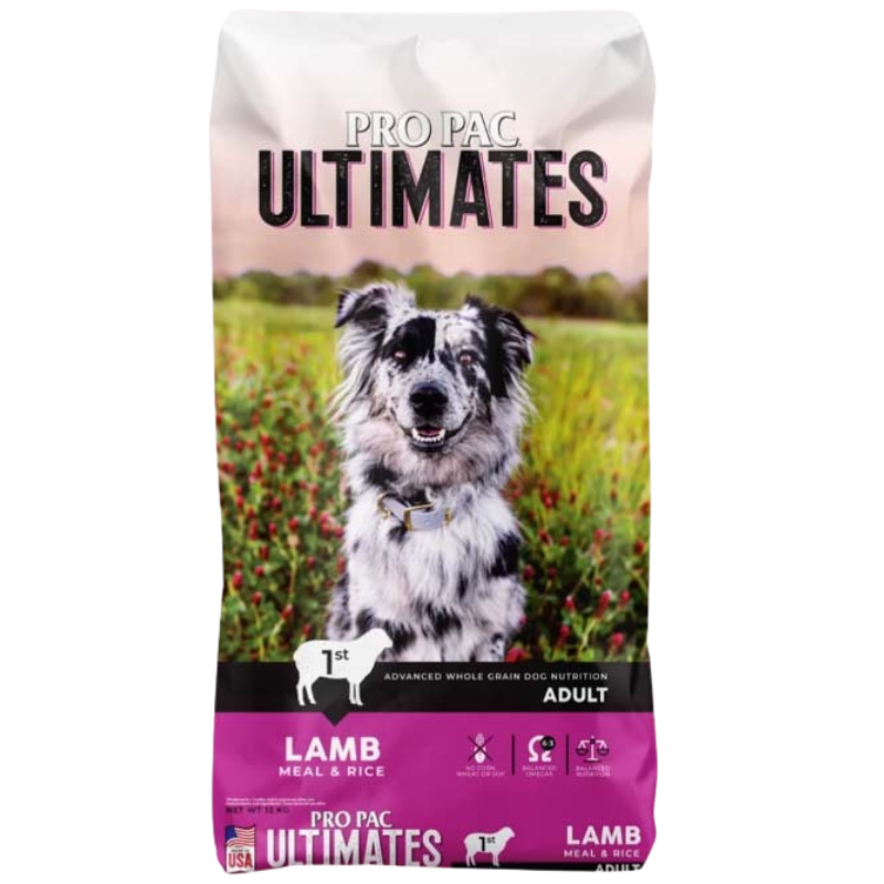 Slide Image Thumbnail