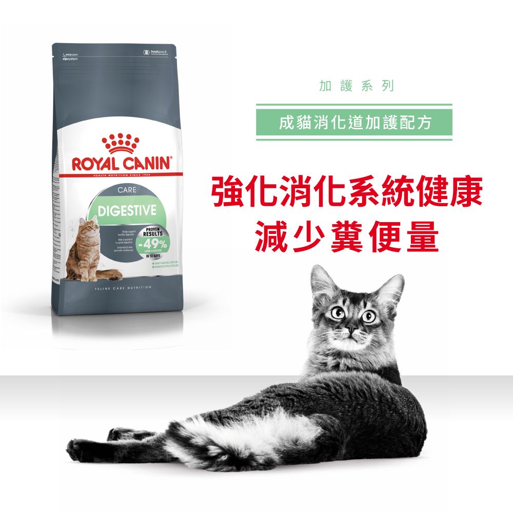 Slide Image Thumbnail