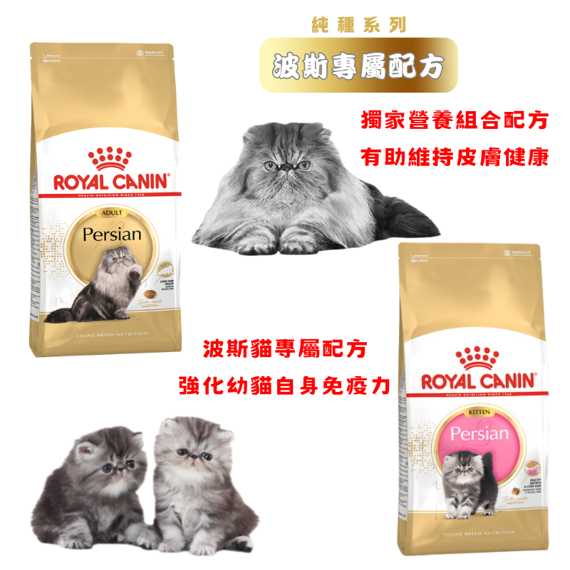 Slide Image Thumbnail