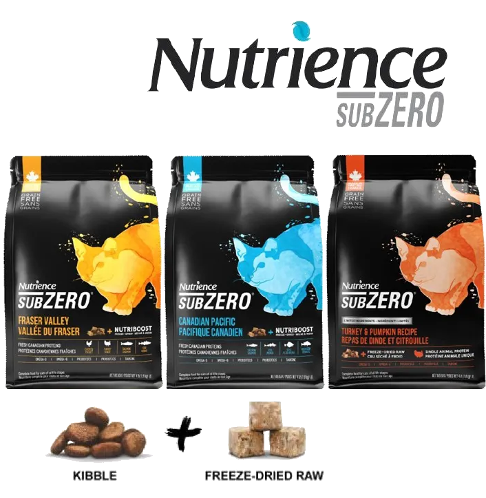 Slide Image Thumbnail