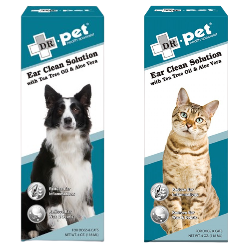 Slide Image Thumbnail