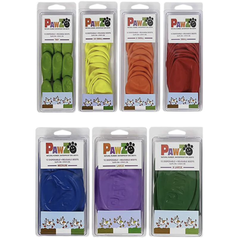 Slide Image Thumbnail