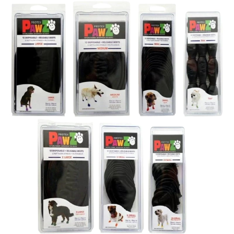 Slide Image Thumbnail