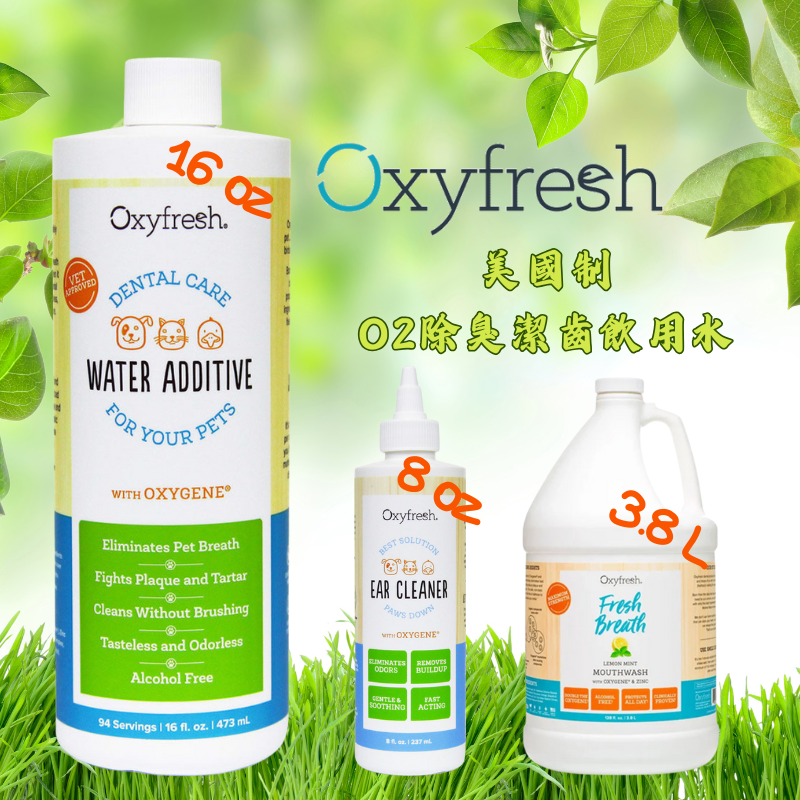 Slide Image Thumbnail