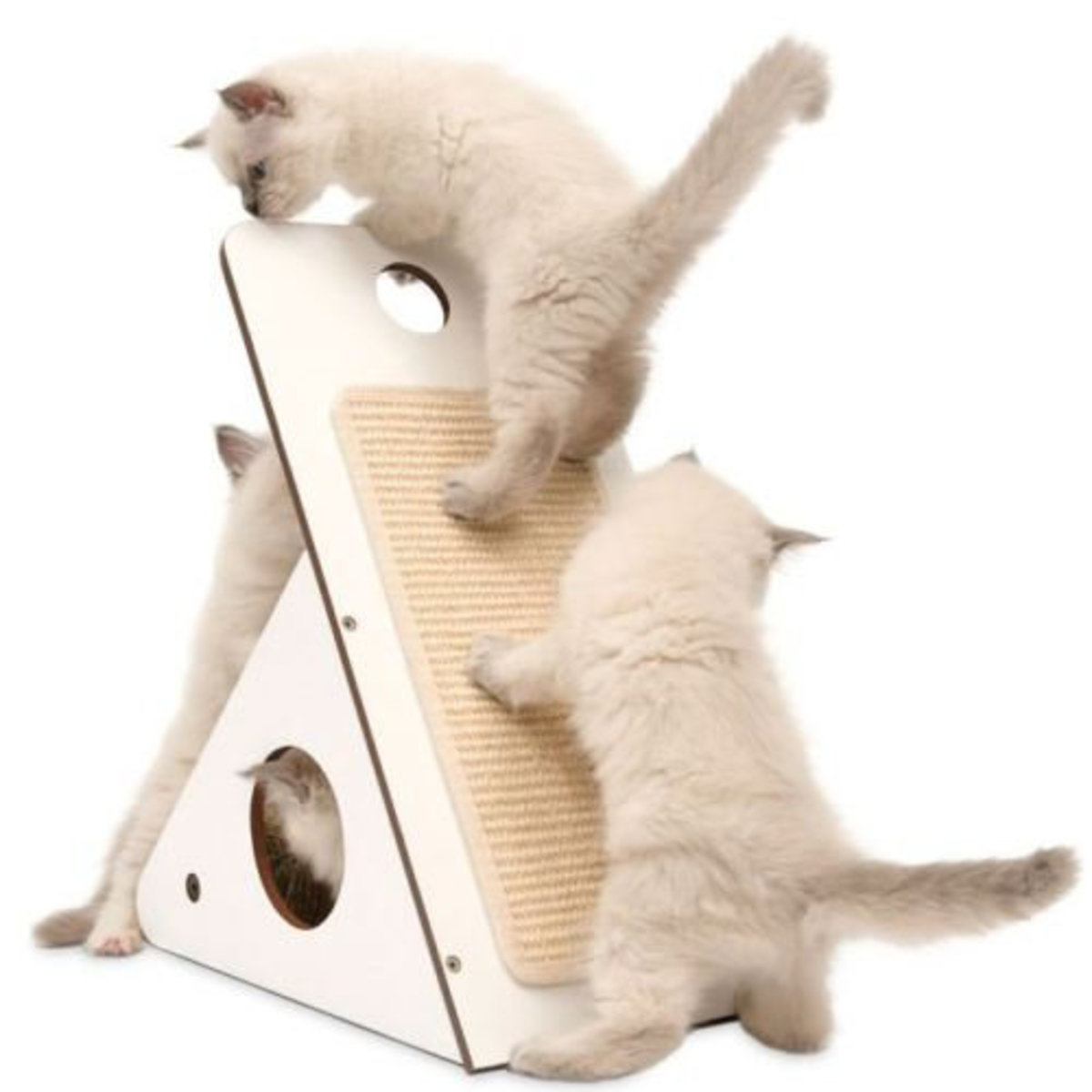Slide Image Thumbnail