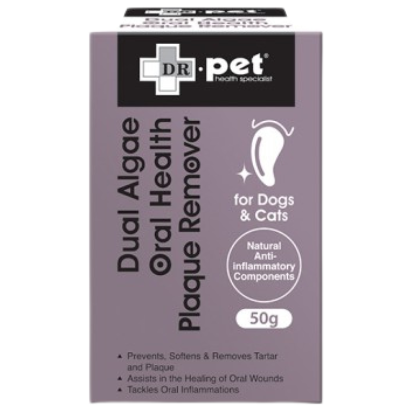 Slide Image Thumbnail