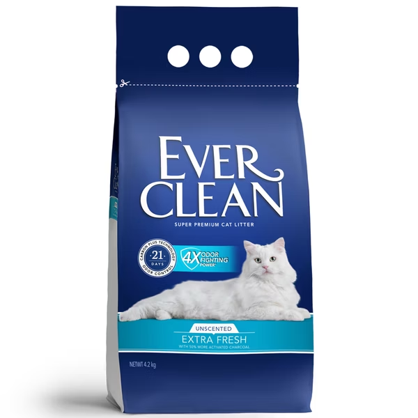 Slide Image Thumbnail