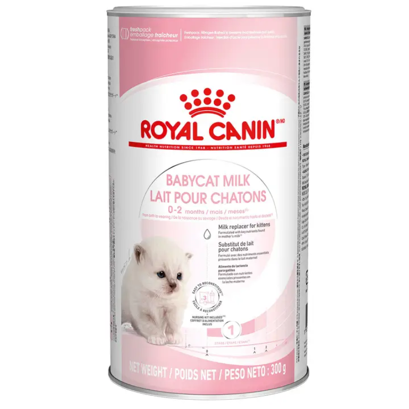 Slide Image Thumbnail