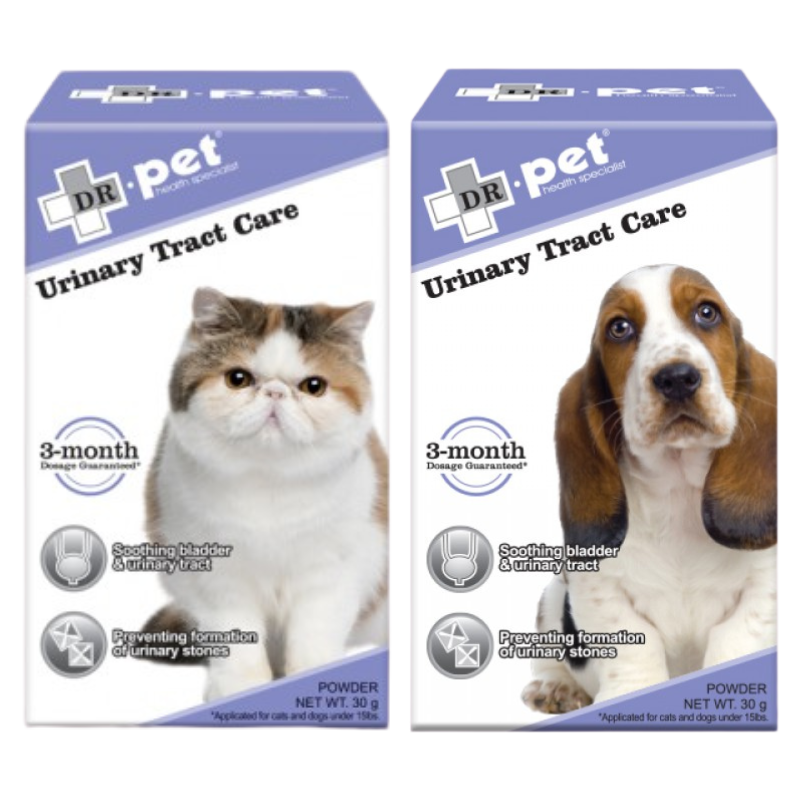 Slide Image Thumbnail