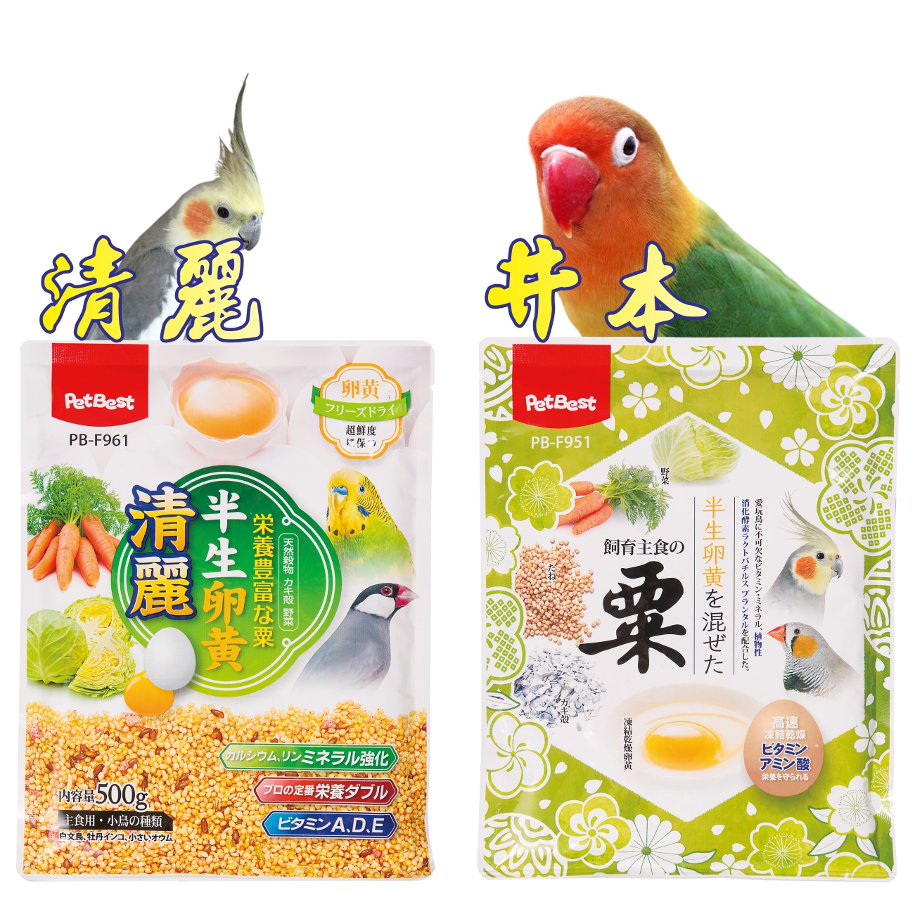 Slide Image Thumbnail