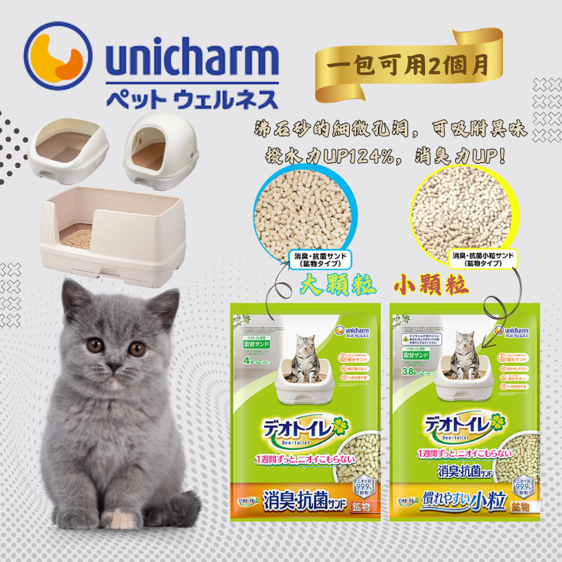 Slide Image Thumbnail