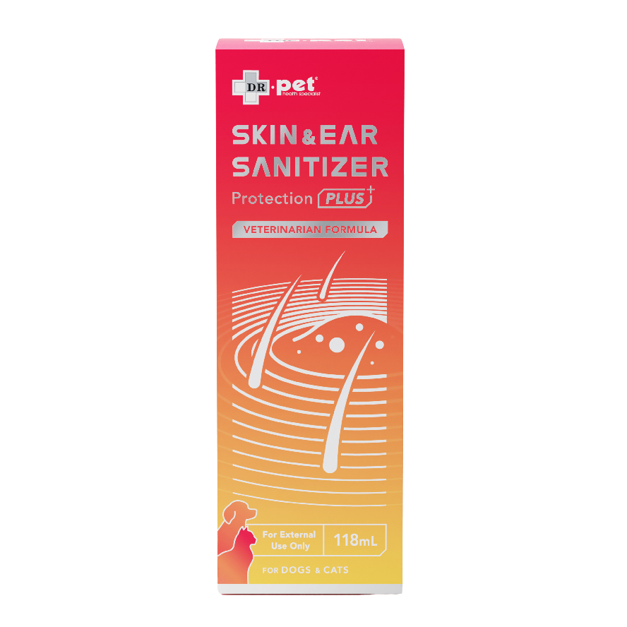 Slide Image Thumbnail