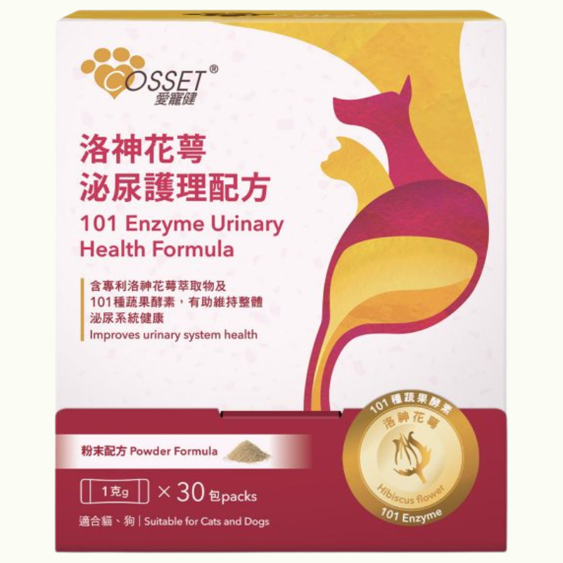 Slide Image Thumbnail