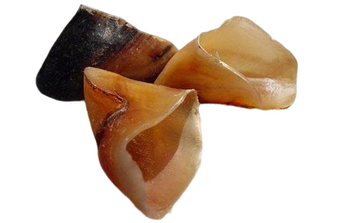Slide Image Thumbnail