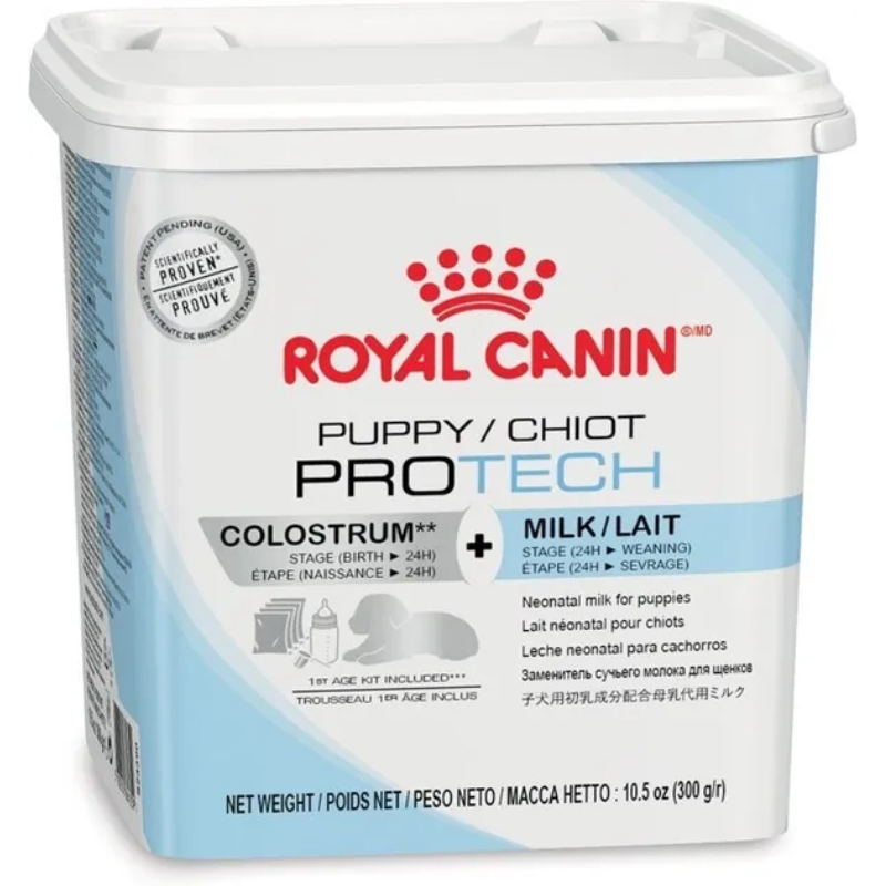 Slide Image Thumbnail