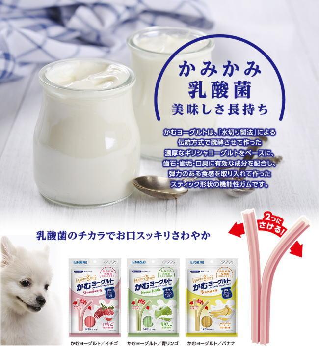 Slide Image Thumbnail