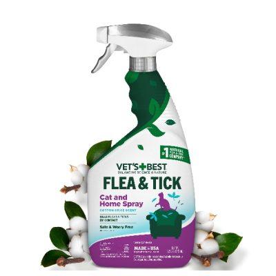 Slide Image Thumbnail