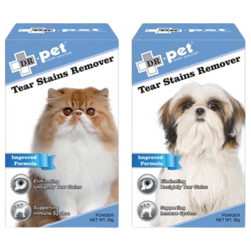 Slide Image Thumbnail