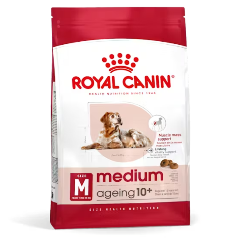 Slide Image Thumbnail